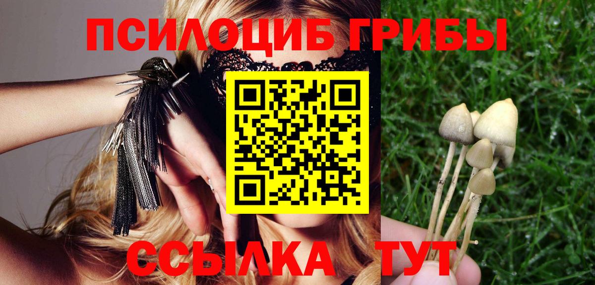 Галлюциногенные грибы прущие грибы Троицк