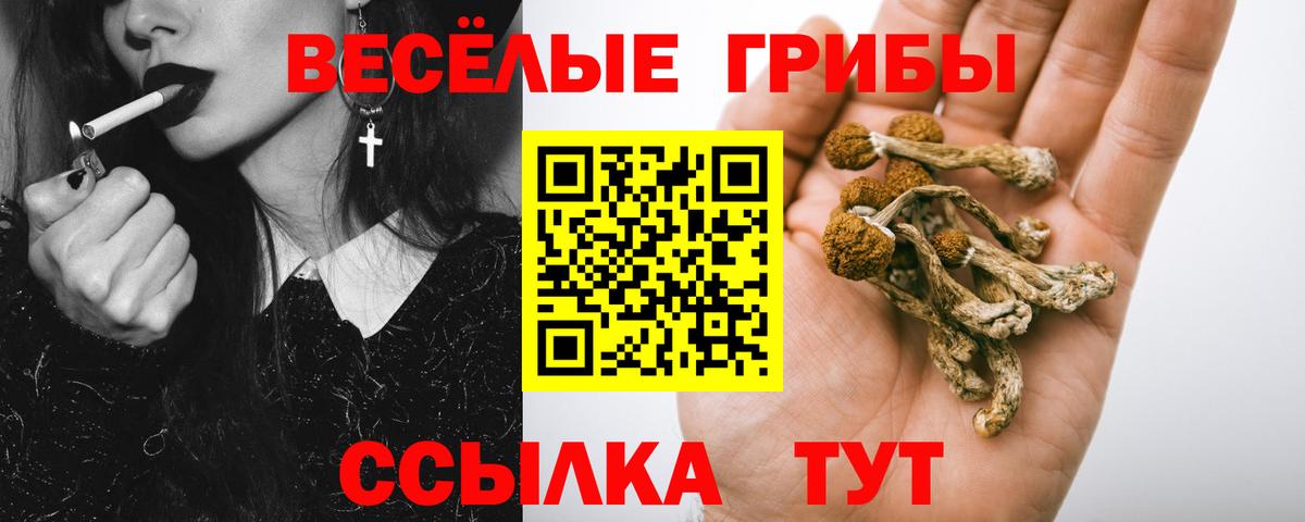 Псилоцибиновые грибы GOLDEN TEACHER  дарнет шоп  Троицк  Вход с VPN 